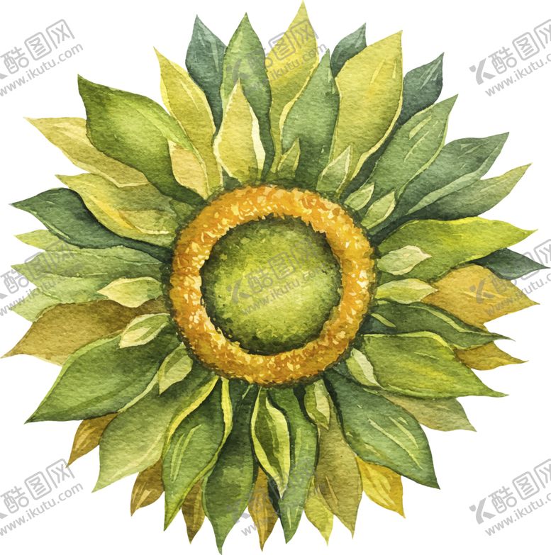 编号：28390309280728397006【酷图网】源文件下载-水彩植物