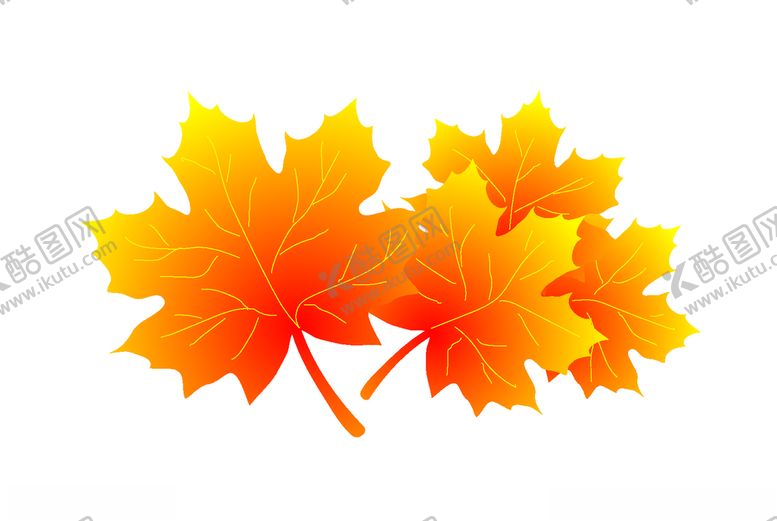 编号：46738509250530275978【酷图网】源文件下载-枫叶