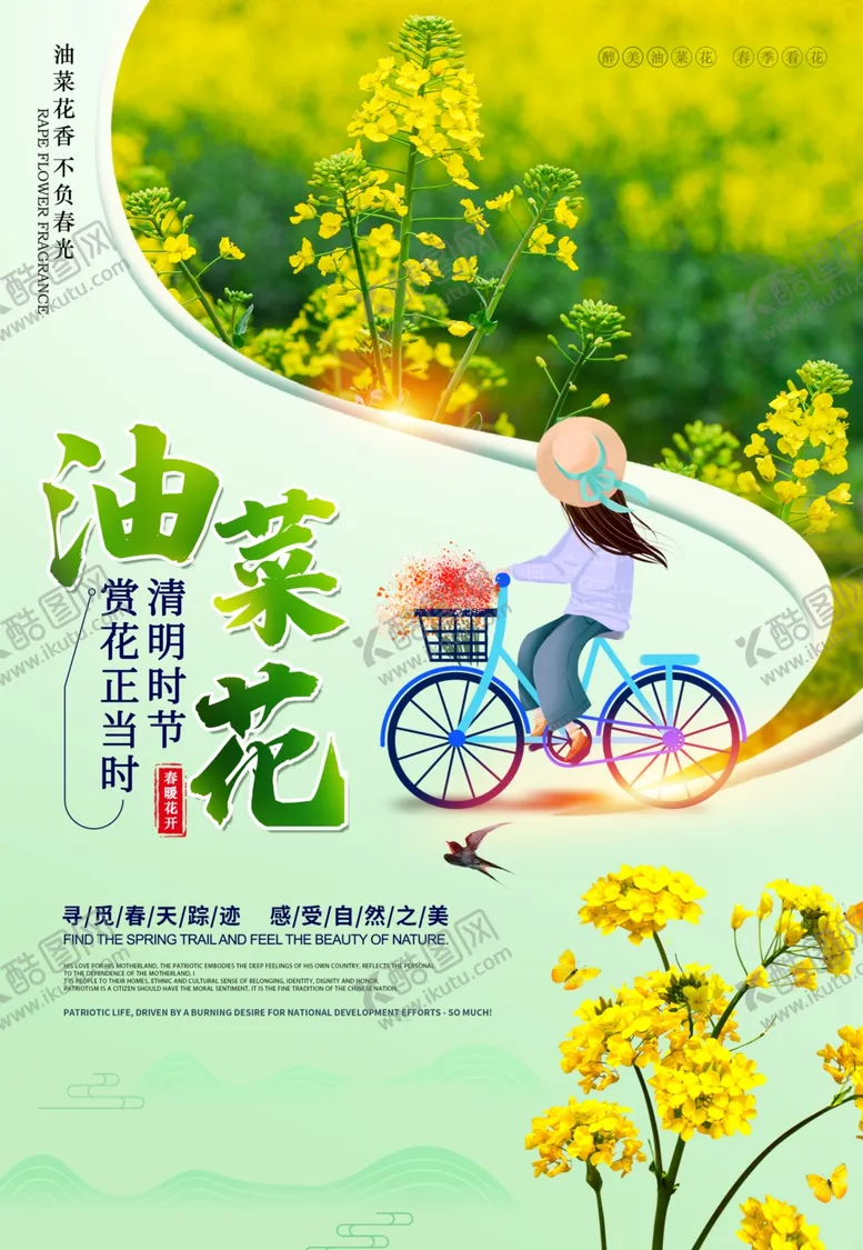 编号：46774001270305055345【酷图网】源文件下载-油菜花