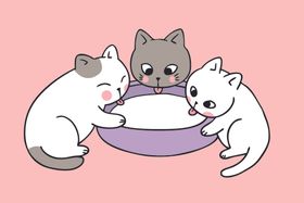 可爱卡通本本设计记事本背景本子