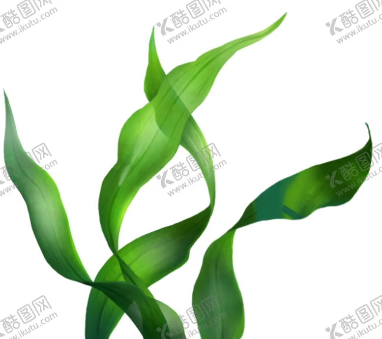 编号：69308506291920507034【酷图网】源文件下载-海草素材