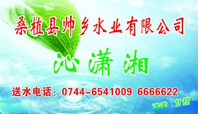 水票