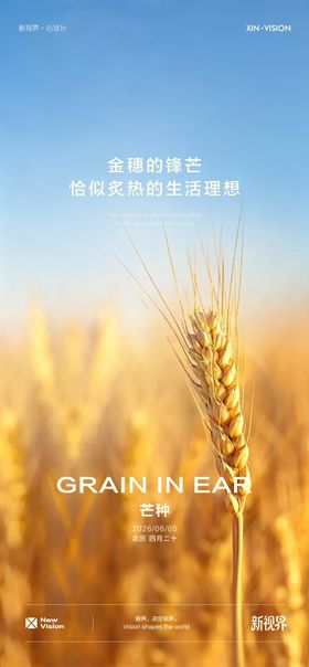 芒种海报中国二十四节气单图