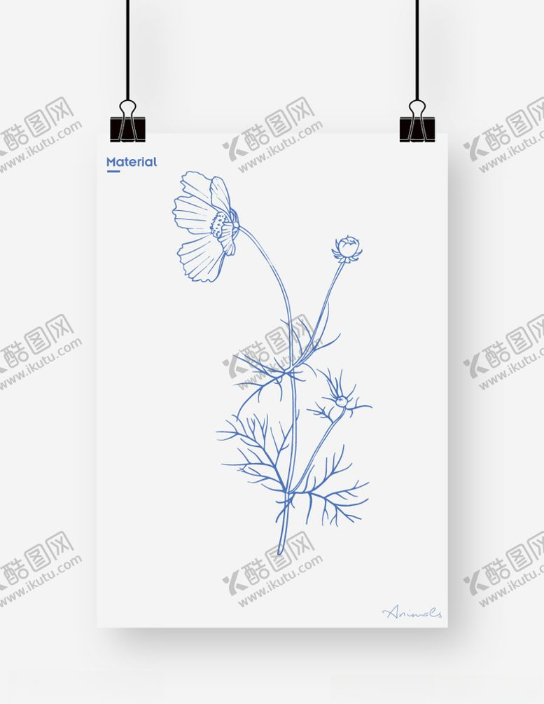 编号：37223505111822398584【酷图网】源文件下载-菊花