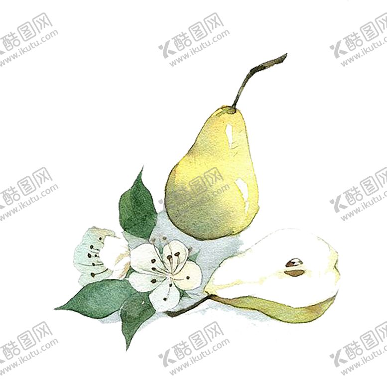 编号：29308110020351055008【酷图网】源文件下载-水果