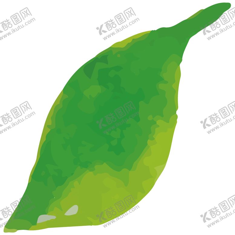编号：97899805151531177651【酷图网】源文件下载-手绘清新植物
