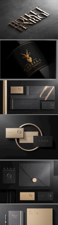 高端黑金LOGO提案样机套图