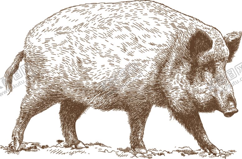 编号：44567910132143053777【酷图网】源文件下载-动物素描