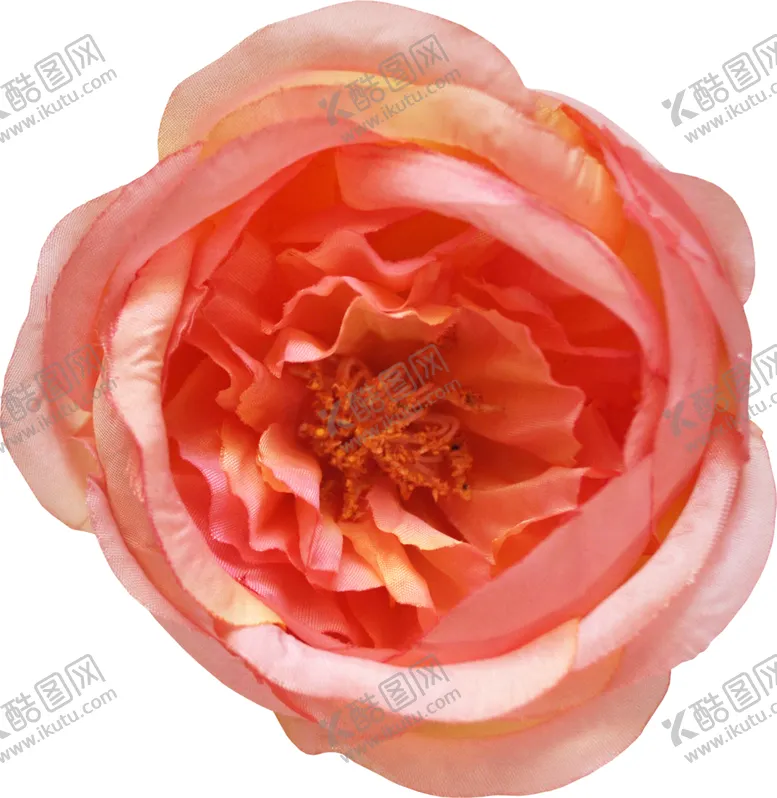 编号：58187507021711515637【酷图网】源文件下载-复古花朵植物图案