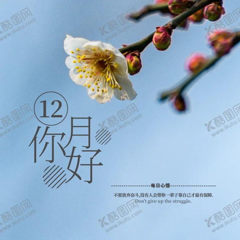 编号：18047804301028489465【酷图网】源文件下载-你好12月