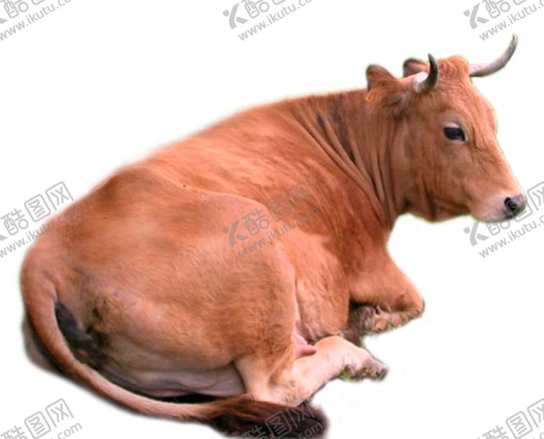编号：25749109181804044415【酷图网】源文件下载-黄牛