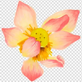 荷花莲花免扣素材中国风海报素材