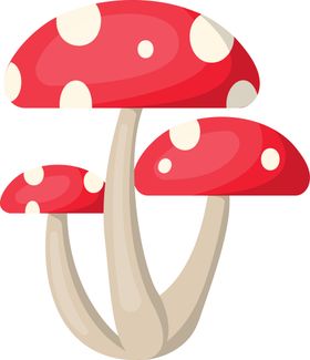 蘑菇