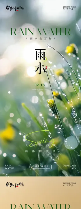 雨水简约意境节气海报