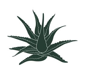 绿色相框