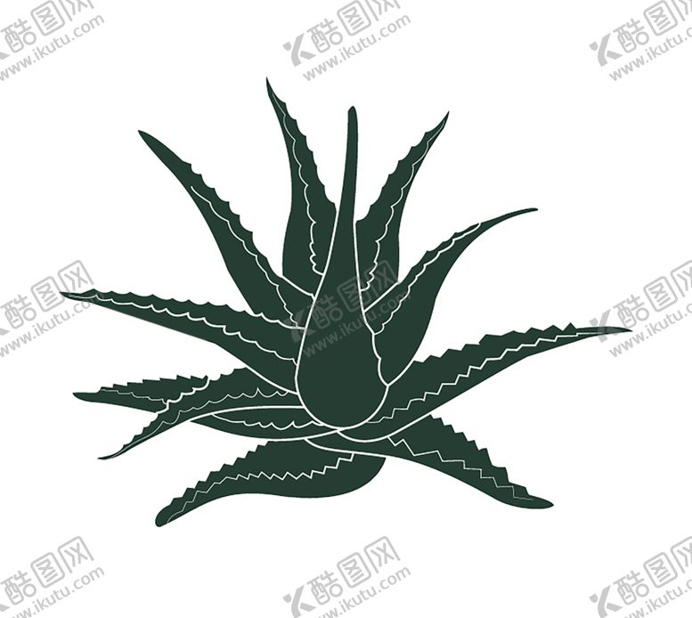 编号：73703206180613208359【酷图网】源文件下载-绿色相框