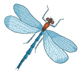 卡通蓝色小蜻蜓插画