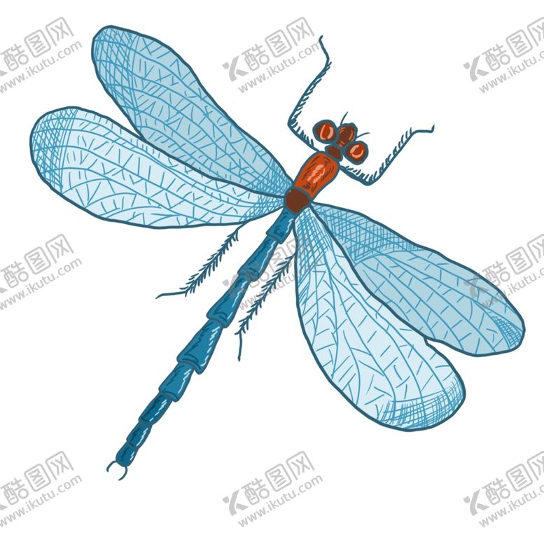 编号：52496405081254159326【酷图网】源文件下载-卡通蓝色小蜻蜓插画