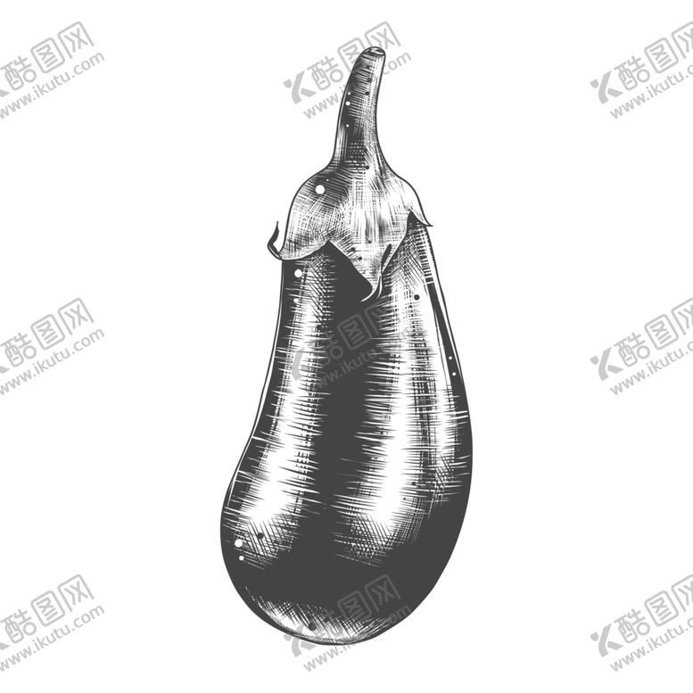 编号：35791010290824014448【酷图网】源文件下载-素描蔬菜