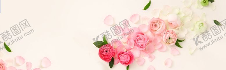 编号：33181507141714199961【酷图网】源文件下载-玫瑰花花瓣温馨浪漫背景