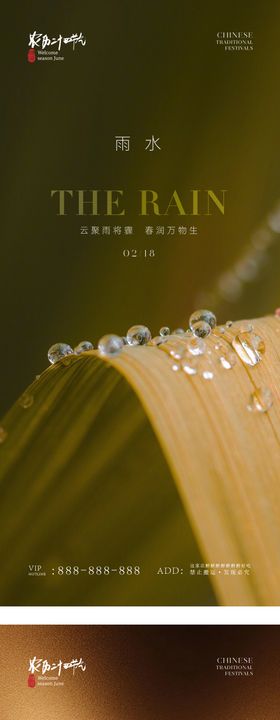 雨水简约意境节气海报