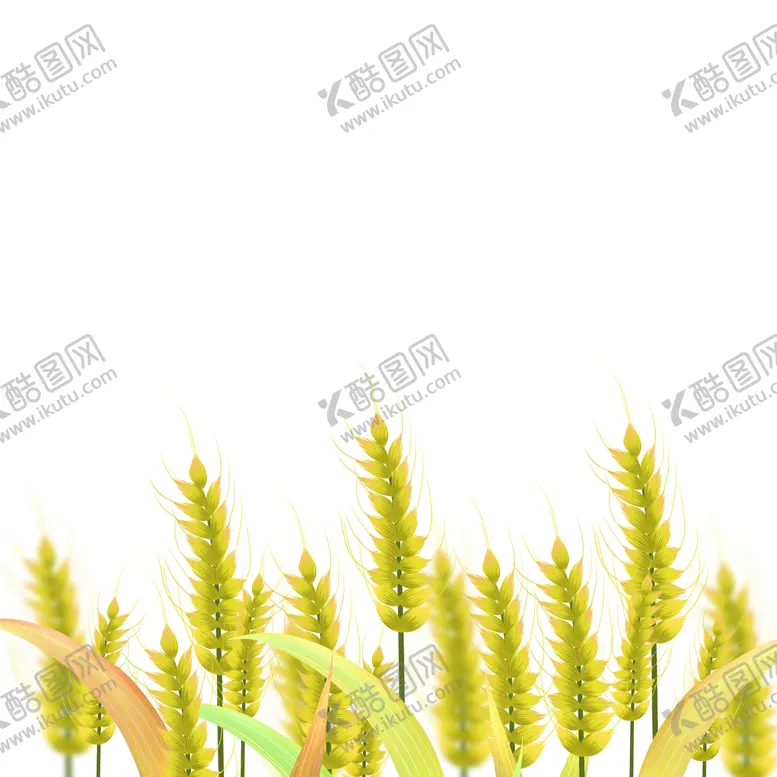 编号：97015809240844097451【酷图网】源文件下载-金色装饰麦子元素