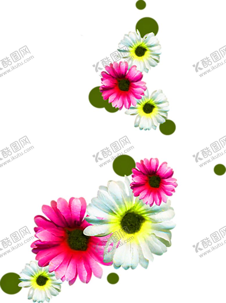 编号：18431105150145248304【酷图网】源文件下载-鲜花装饰