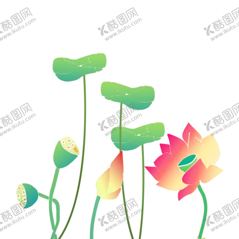 编号：77078706250213547869【酷图网】源文件下载-国潮荷花荷叶