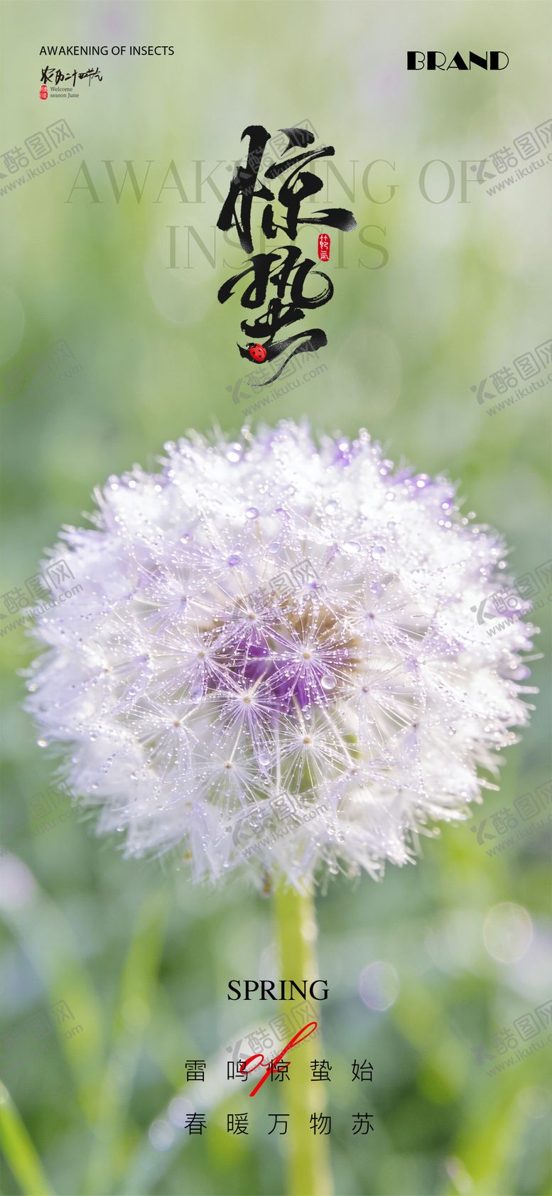 编号：79644003040209309285【酷图网】源文件下载-惊蛰节气海报