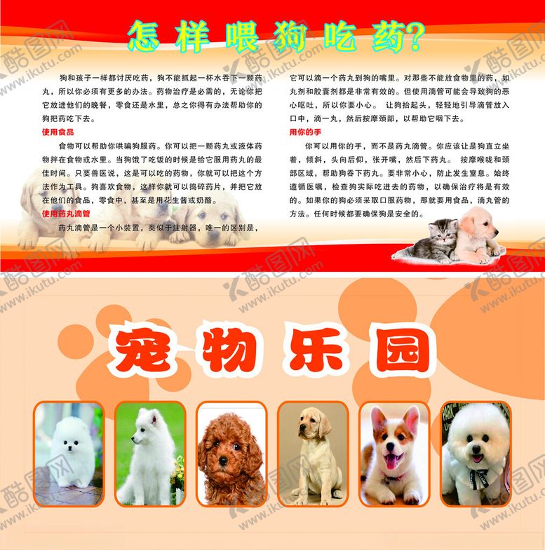 编号：33901801261711355581【酷图网】源文件下载-宠物