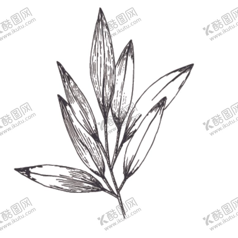 编号：11489107090111215086【酷图网】源文件下载-简笔绘画植物花朵图谱