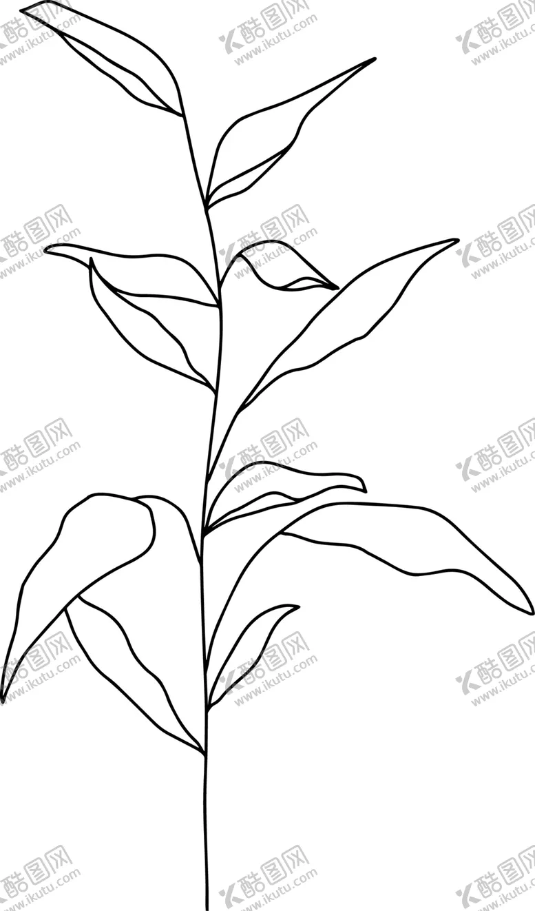 编号：14810404060938289974【酷图网】源文件下载-手绘花藤花纹