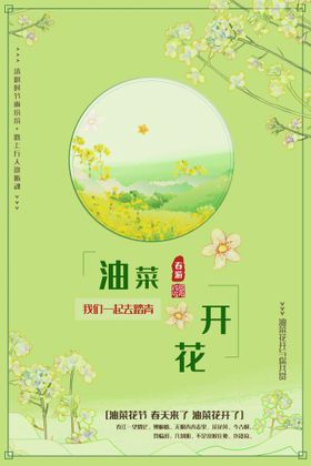 油菜花开