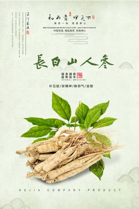 长白山人参海报