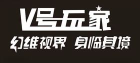 V号玩家