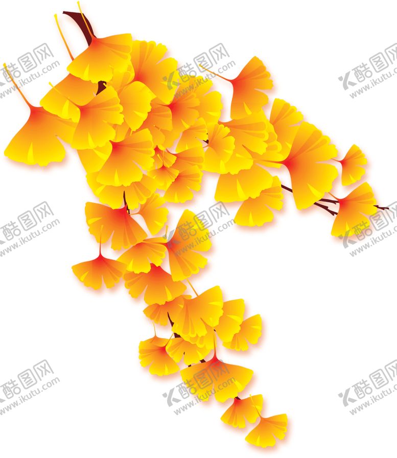 编号：59540204210556222320【酷图网】源文件下载-秋天银杏叶