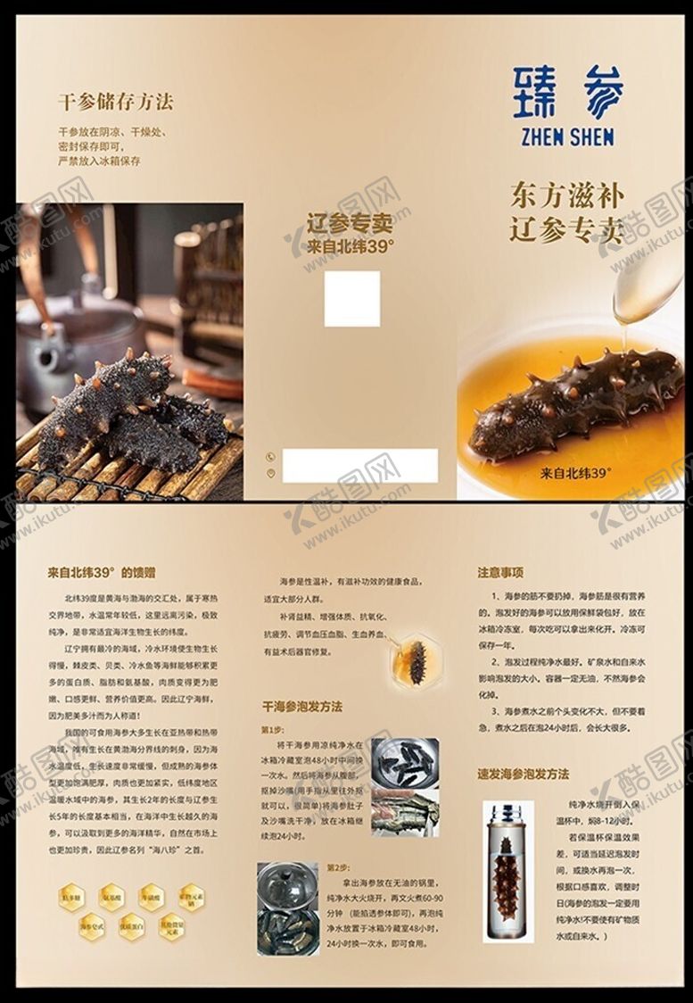 编号：88924206300701187153【酷图网】源文件下载-海参宣传折页设计
