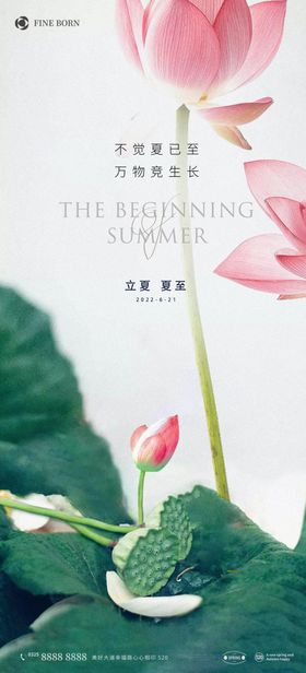 夏至海报二十四节气天荷花