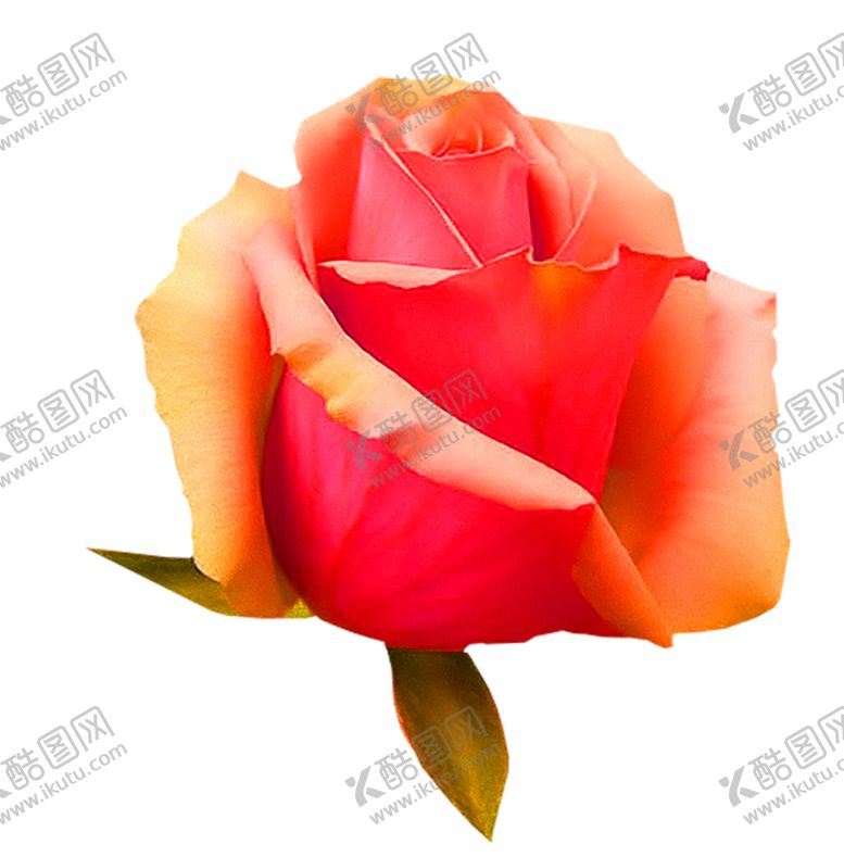 编号：49586006280327204851【酷图网】源文件下载-花素材