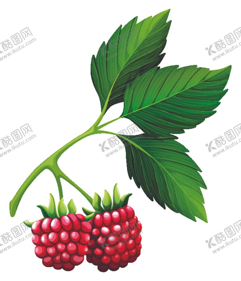 编号：54595205112330395284【酷图网】源文件下载-矢量水果
