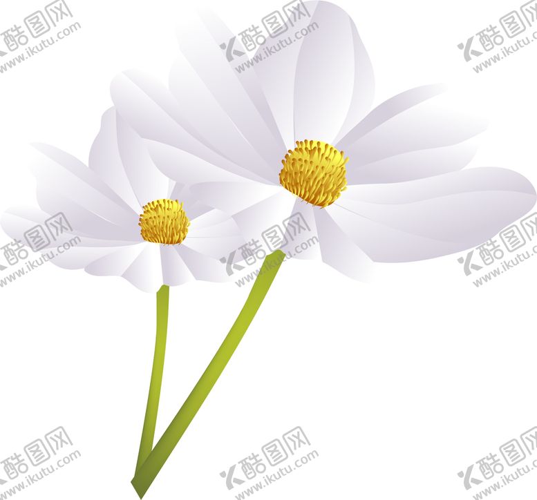 编号：84531701210050097788【酷图网】源文件下载-写实花卉