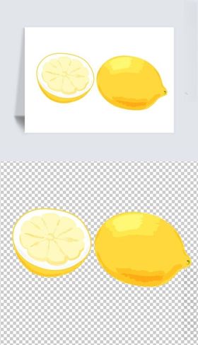 矢量柠檬横切面