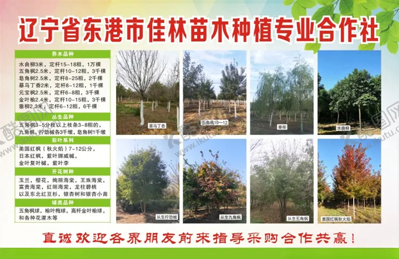 编号：66524609241749196360【酷图网】源文件下载-宣传彩页