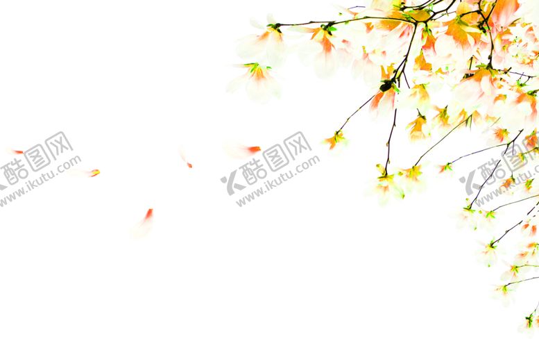 编号：43557710290747425330【酷图网】源文件下载-花素材