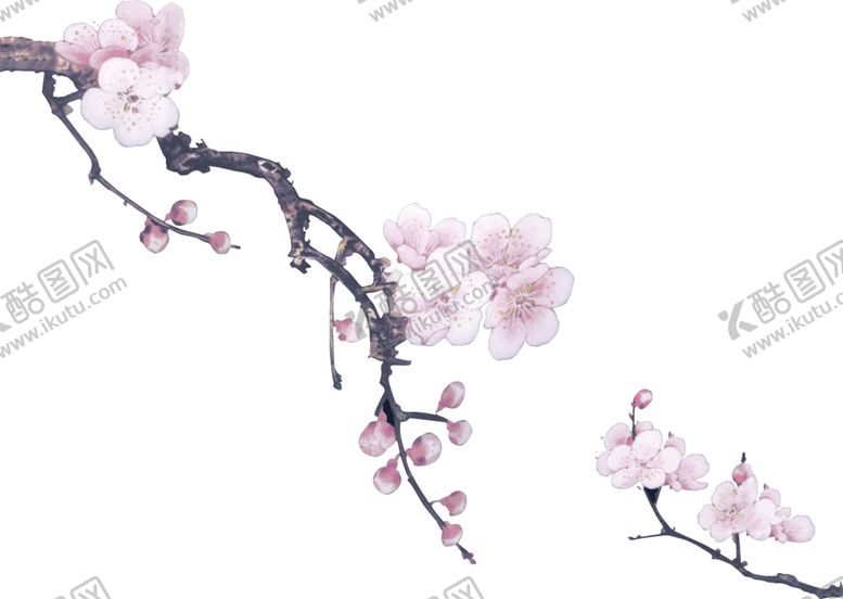 编号：31595609260428434062【酷图网】源文件下载-桃花