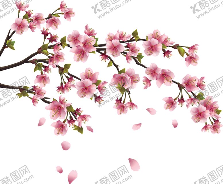 编号：82505605020314137607【酷图网】源文件下载-樱花
