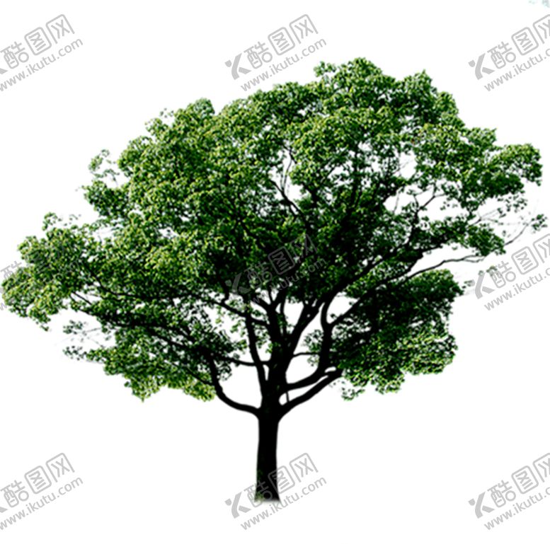 编号：46426310212320175692【酷图网】源文件下载-绿色植物