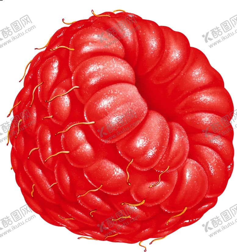 编号：23668907030036131701【酷图网】源文件下载-树莓