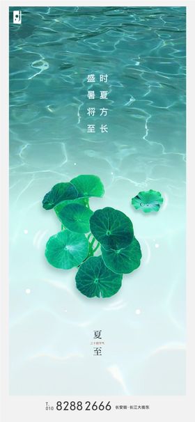 夏至