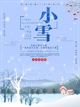 小雪天气节日海报